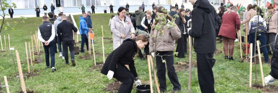 В Березинском районе сегодня на 120 яблонь стало больше.