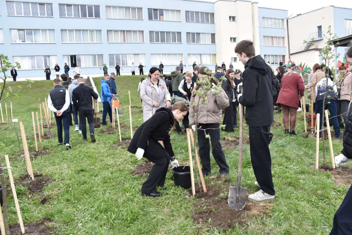 В Березинском районе сегодня на 120 яблонь стало больше.